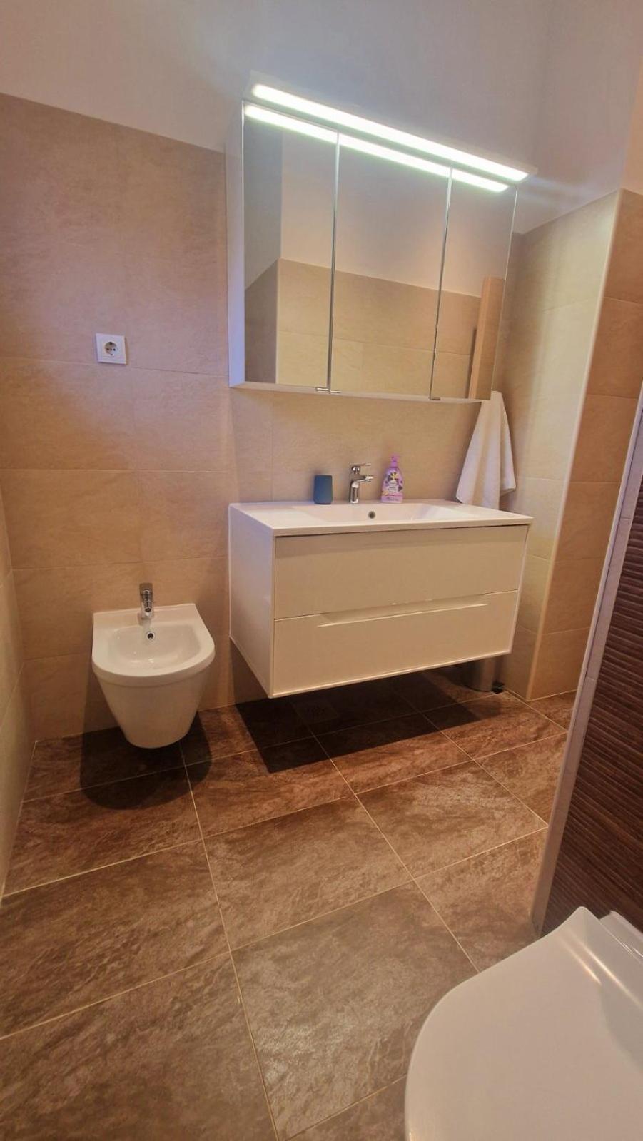 Apartment Mara Орашац Экстерьер фото